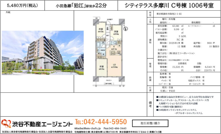 シティテラス多摩川 C号棟 1006号室